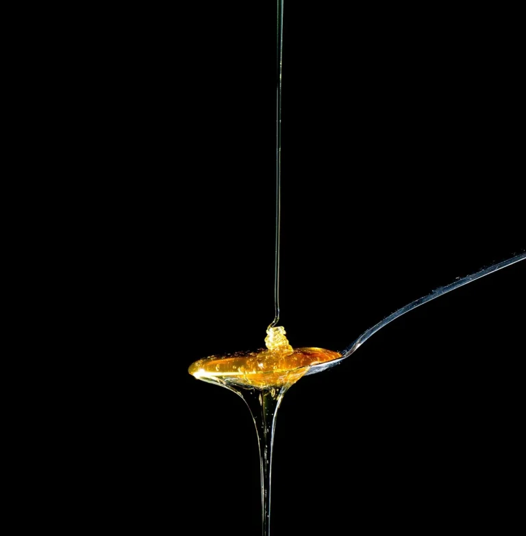 Des recettes infinies et gourmandes grâce au miel