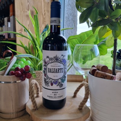 Baluarte Ribera del Duero